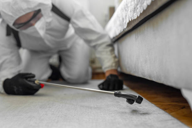 Professional Bed Bug Control technician working in Centreville, IL
