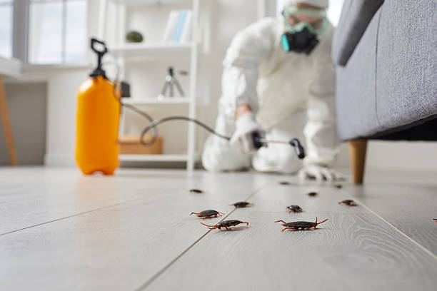 Trusted Fumigation Services service in Centreville, IL - Nex Pest Control